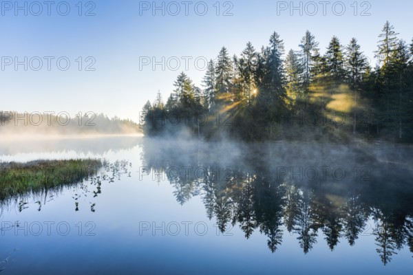 Sunrise over the mirror-smooth mire lake Étang de la Gruère in the canton of Jura, Switzerland,