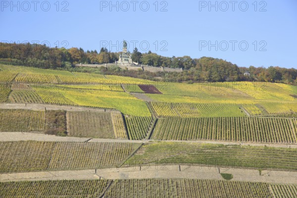 View of Niederwald Monument over the vineyards, wine-growing area, autumn, vineyards, mountain,