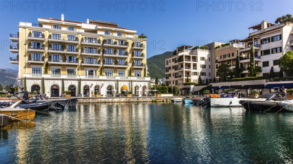 Luxury yacht marina, Porto Montenegro, Bay of Kotor, Montenegro, Tivat, Montenegro, Europe