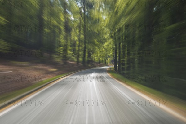 Ride on road through spring forest, Amorbach, Odenwald, Bavaria, Germany, Europe