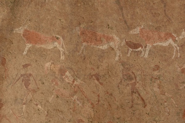 Rock paintings, Tsisab gorge, Brandberg, Erongo region, Namibia, Africa