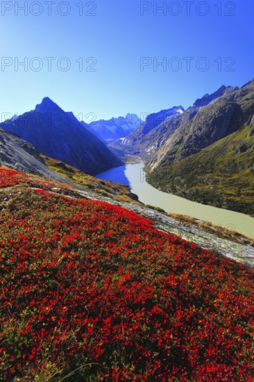 Swiss Alps, Grimselsee, Canton Bern, Switzerland, Europe