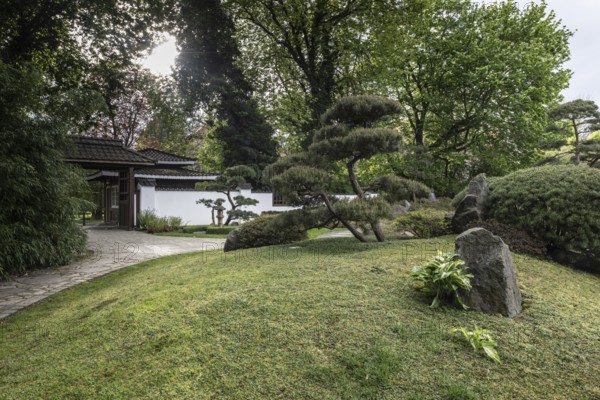 Japanese Garden, Bad Langensalza, Thuringia, Germany, Europe
