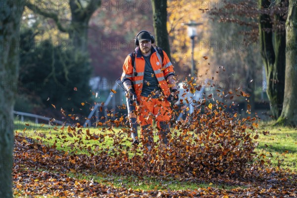 Leaf blower, removal of autumn leaves in a municipal park, Duisburg, North Rhine-Westphalia,