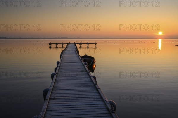 Sunrise at Lake Dümmer, jetty, path, jetty, stillness, lake, Dümmerlohhausen, Lower Saxony,
