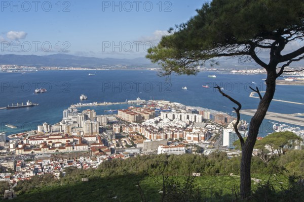 High density modern apartment block housing, Gibraltar, British overseas territory in southern