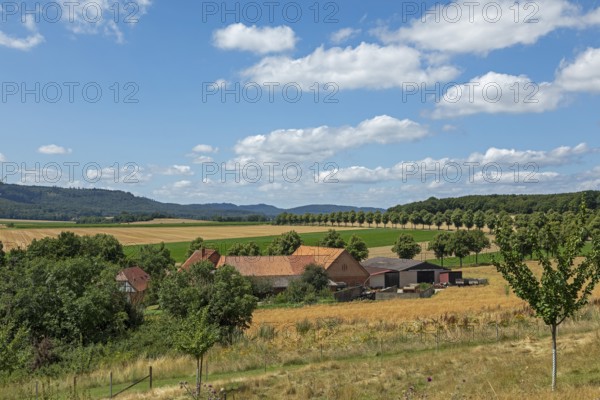 Farm, Landscape, Wittenburg, Elze, Lower Saxony, Germany, Europe