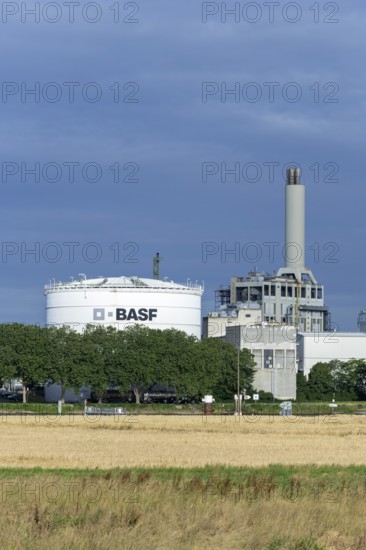 BASF, Lugwigshafen am Rhein, industrial area, Felder, Mannheim, Baden-Württemberg, Germany, Europe