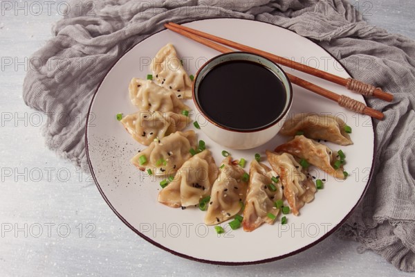 Japanese Gyoza dumplings, fried, with sauce, top view, without people, tinted, selective focus