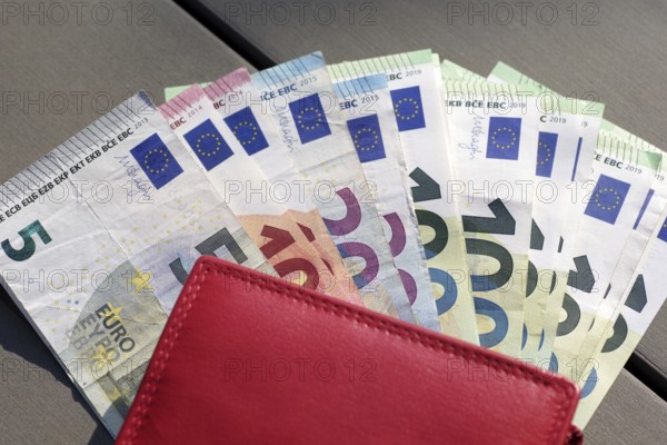 Banknotes, euro, wallet, compartments, A red wallet contains individual banknotes from 5 to 100
