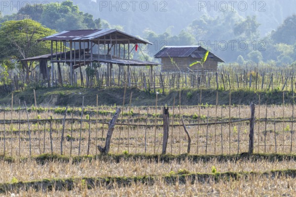 Harvested rice paddies with a small hut, Vang Vieng, Vientiane province, Laos, Asia