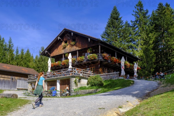 Denkalm, near Lenggries, Isarwinkel, Tölzer Land, Upper Bavaria, Bavaria, Germany, Europe