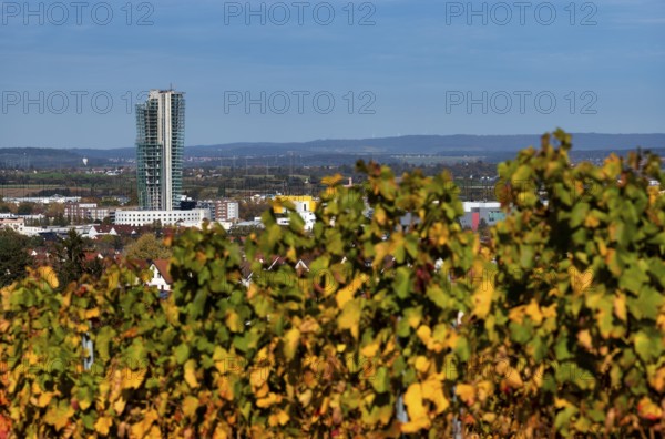 View of half-finished high-rise building GEWA-Tower, ruined building, vineyard, vines, vine