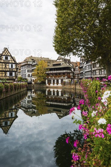 Half-timbered houses, La Petite France, River Ill, Strasbourg, Alsace, France, Europe