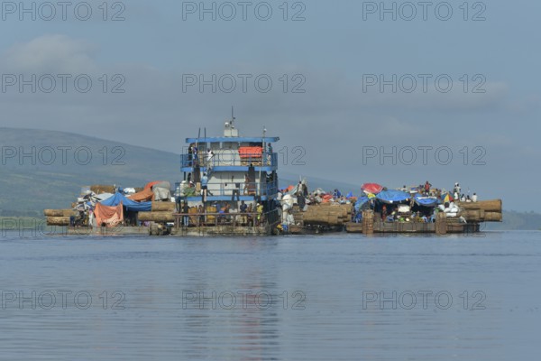 Freighter transporting logs of tropical timber on the Congo River, near Kinshasa, Kinshasa