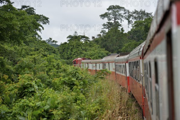 Railroad, old waggons, French rolling stock, near Batschenga, Cameroon, Africa