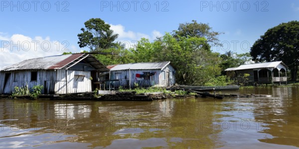 Houses on stilts in the flooded forest along the Rio Negro, Manaus, Amazonia State, Brazil, South