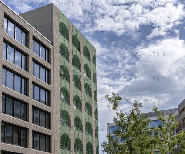 Am Tacheles, new building of the former cultural and cult site, Oranienburger Straße, Mitte,