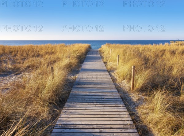 Beach access at the Baltic Sea in the evening light, boardwalk through dunes to the beach, beach