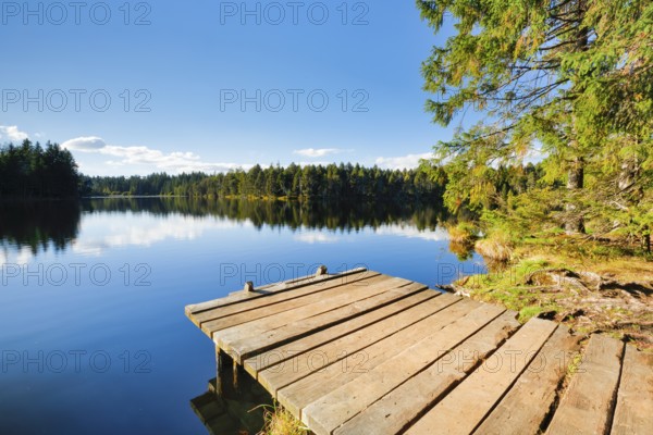 Bathing jetty on the lakeshore of the Étang de la Gruère mire lake in the canton of Jura,
