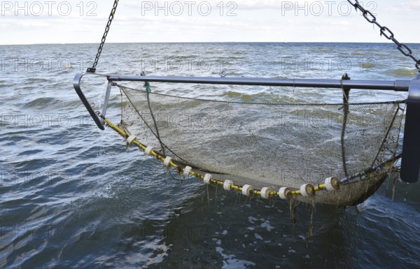Crab cutter has displayed its nets in the North Sea, Büsum, Germany, Europe