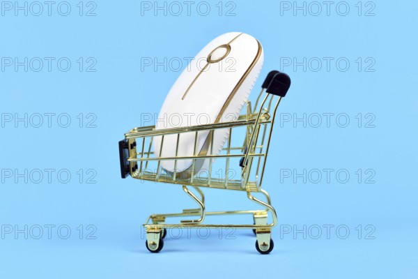 Online shopping concept with shopping cart with computer mouse