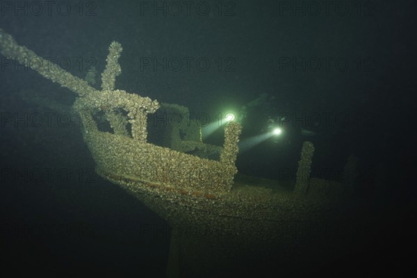 Divers with torches examine an old shipwreck overgrown with mussels, quagga triangle mussel
