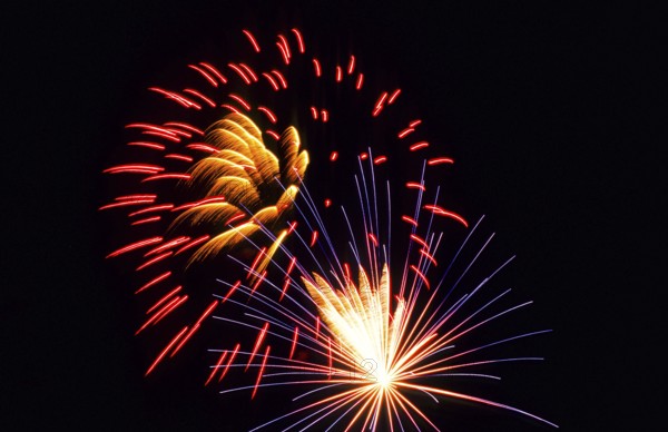 New Year's Eve fireworks, vivid fireworks in the night sky with golden, yellow, red and blue