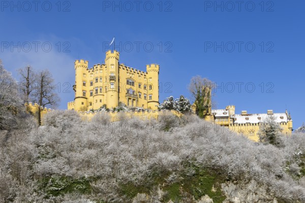 A yellow castle sits majestically on a snow-covered hill with a blue sky, Hohenschwangau Castle,