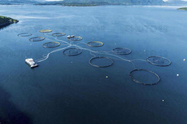 Floating cages of a salmon farm in the Voldafjord north of Lauvstad, Moere og Romsdal, Norway,