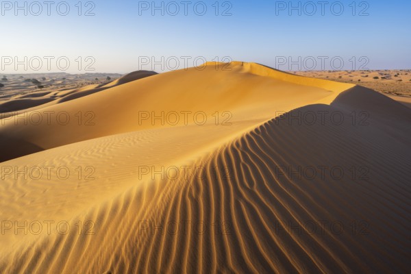 Sand dunes in the desert, near Duqm, Oman, Asia