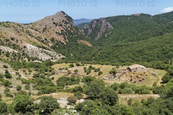 A farmhouse below a steep mountain slope in the Parco delle Madonie nature park. Cefalu, Sicily,