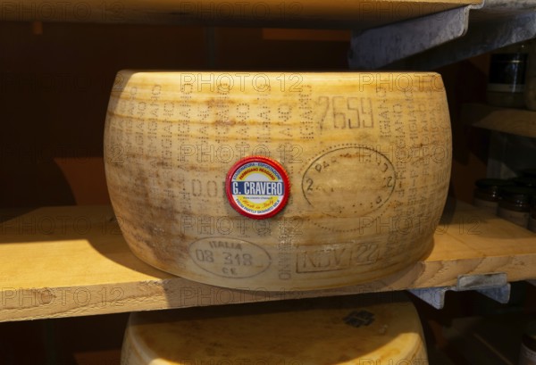 Wheel of Parmesan cheese, Parmigiano Reggiano by G Cravero, Mons cheesemongers shop, East Dulwich,