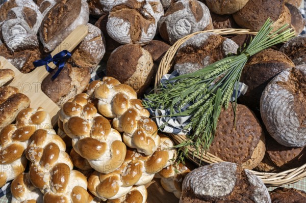 Various types of bread, loaves, farmhouse bread, yeast plait with decoration, Baden-Württemberg,
