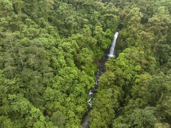 Aerial view, waterfall in the rainforest, Catarata de la Paz, La Paz Waterfall Gardens Nature Park,