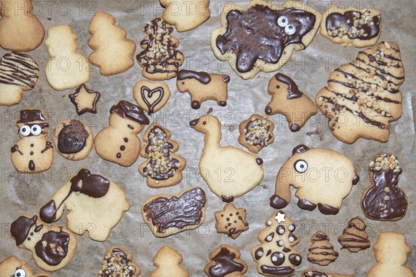 Various biscuits decorated with chocolate in the shape of Christmas trees, elephants and snowmen,
