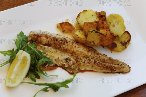 Mediterranean cuisine, fried pike-perch fillet, roast potatoes, fried potatoes, rocket salad, lemon