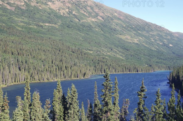Deserted lake and endless forests, Yukon Territory, Canada, North America