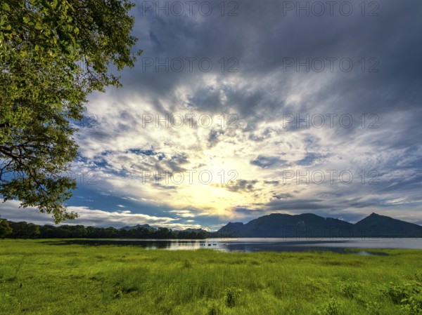 Sunrise and sunbeams between the clouds, green meadow at the lake, Kandalama Lake, Dambulla, Sri