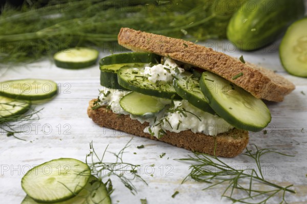 Sandwich, with snake cucumber (Cucumis sativus), dills (Anethum graveolens), cream cheese