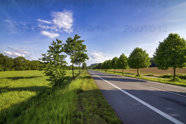 Empty federal road 64, B 64 between Höxter and Holzminden, meadows and fields in spring, trees at
