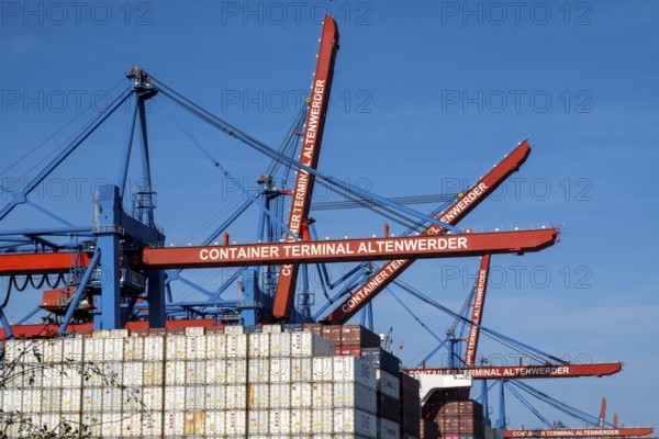 Container gantry cranes Terminal Altenwerder, Port, Hamburg, Germany, Europe