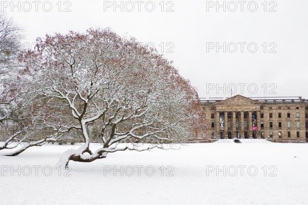 Tree covered in snow in front of a historic building in winter, Wilhelmshöhe Palace, Bergpark