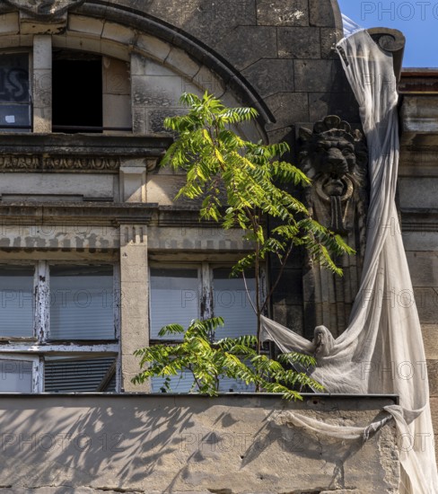 Zum Hufeisen, old still standing ruin of the Tacheles, Oranienburger Straße, Mitte, Berlin,