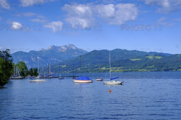 Near Steinbach am Attersee with Schafberg, Salzkammergut, Upper Austria, Austria, Europe