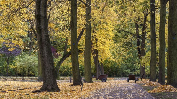 Autumn time, Volkspark Rehberge, war graves, memorial site, Berlin, Germany, Europe