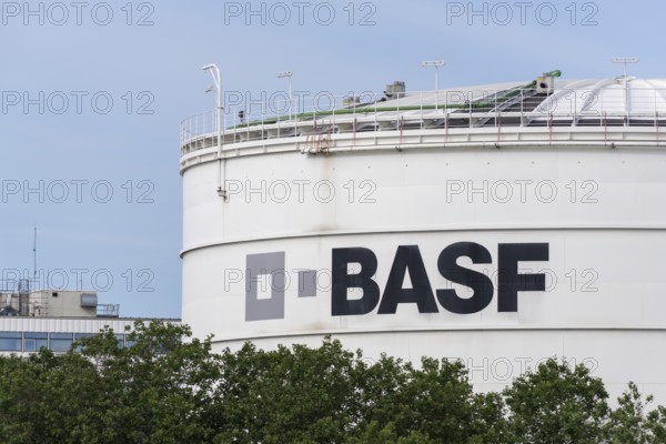 BASF, Lugwigshafen am Rhein, industrial area, Mannheim, Baden-Württemberg, Germany, Europe