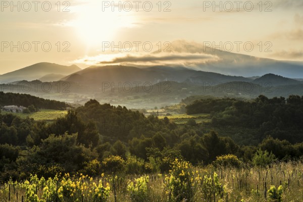 Sunrise, Mont Ventoux, Dentelles de Montmirail, Département Vaucluse, Provence, Provence-Alpes-Côte