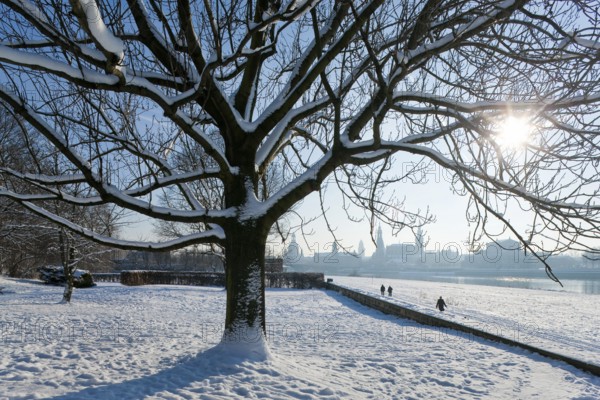 Dresden silhouette in winter