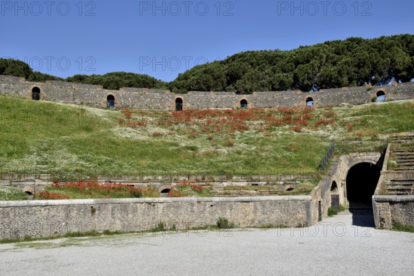 Amphitheatre, ancient city of Pompeii, Campania, Italy, Europe